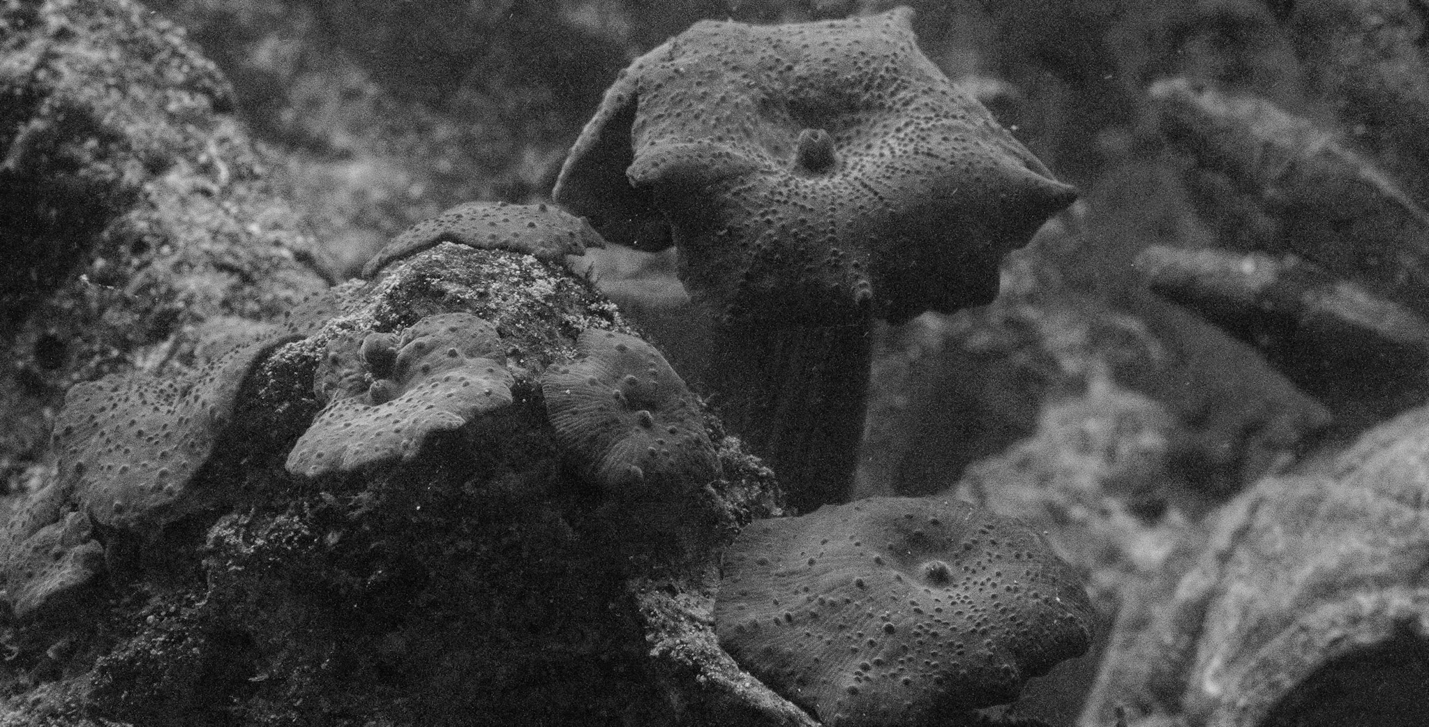 Aquarium