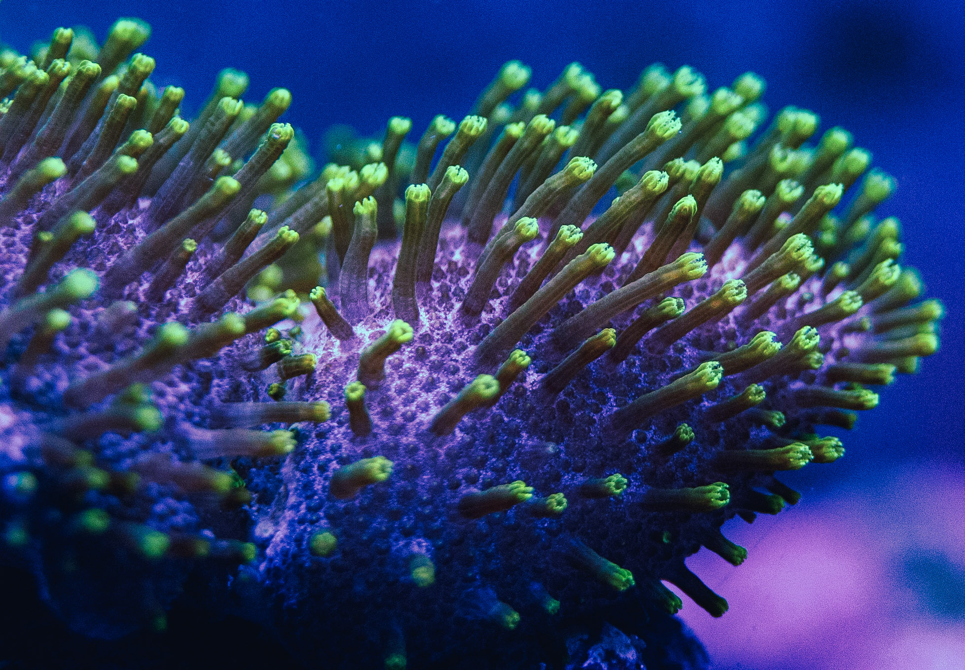 Aquarium