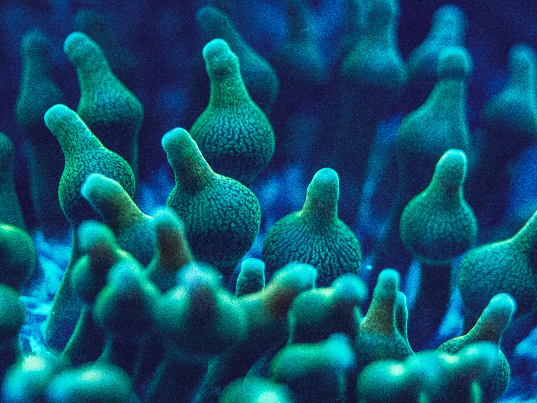 Aquarium