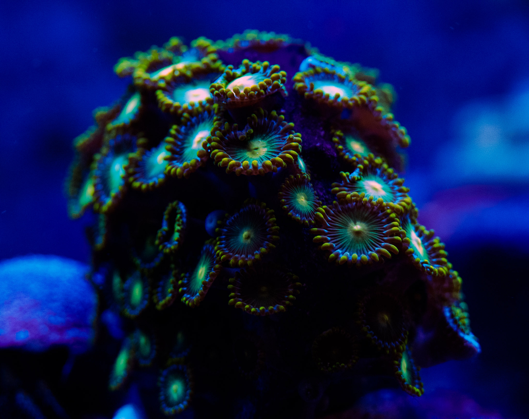 Aquarium