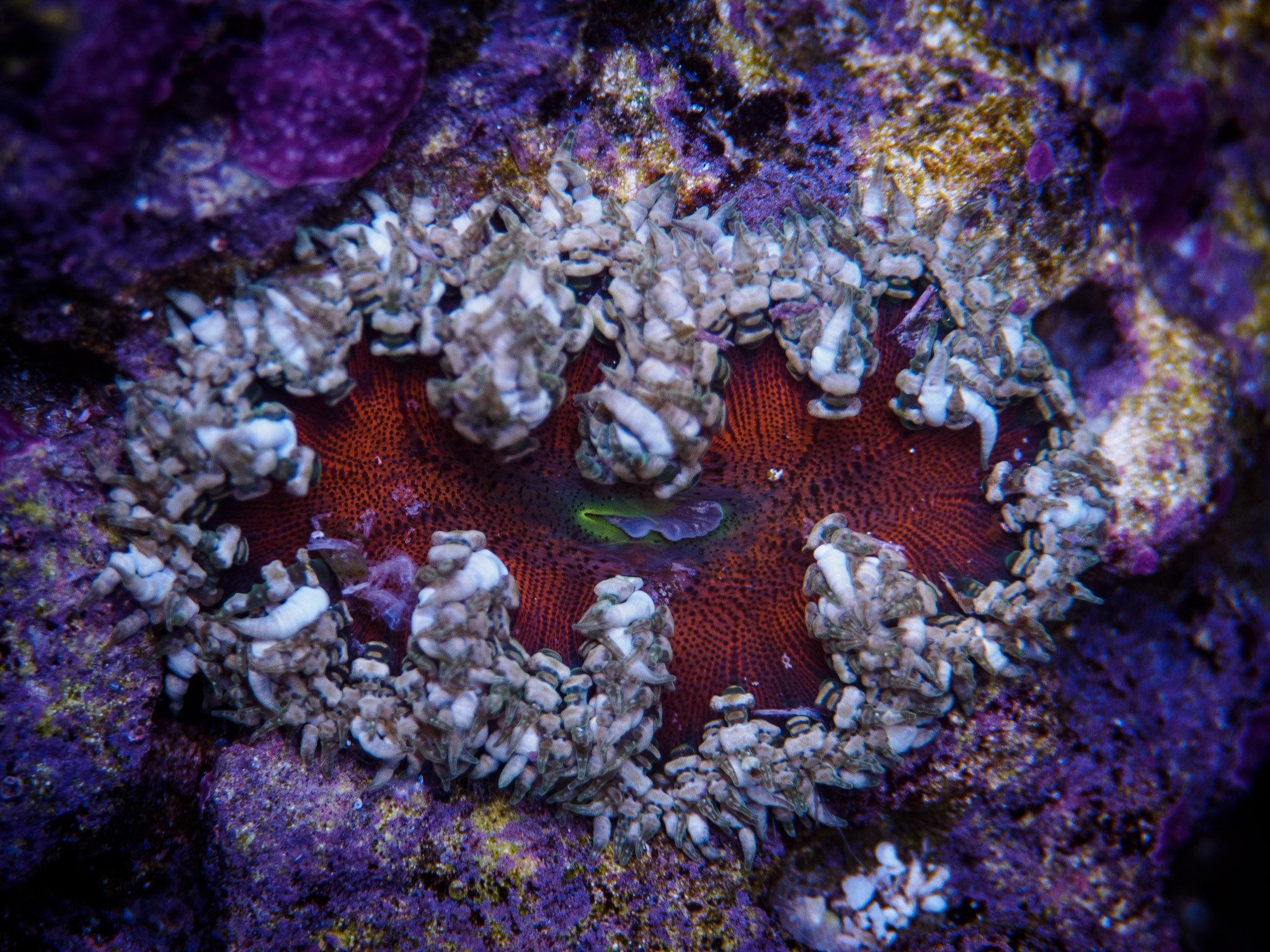 Aquarium